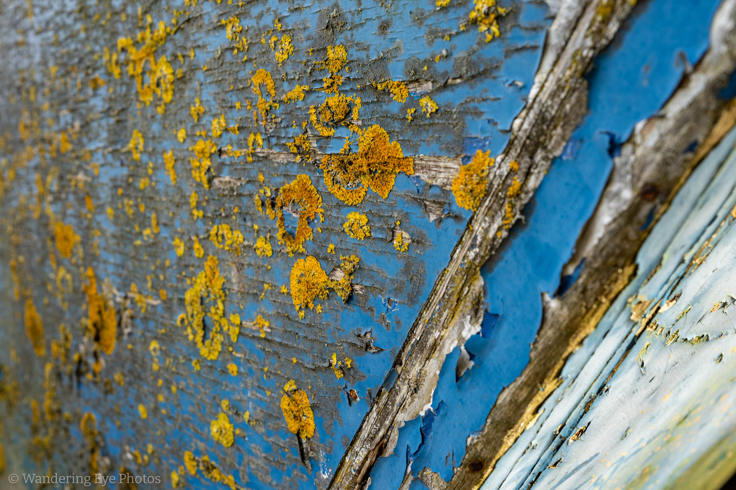 03.24 09.13.08   DSC07947